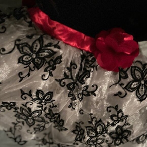 size extra small 4 girls girl dress four holiday red black Christmas - Picture 4 of 4